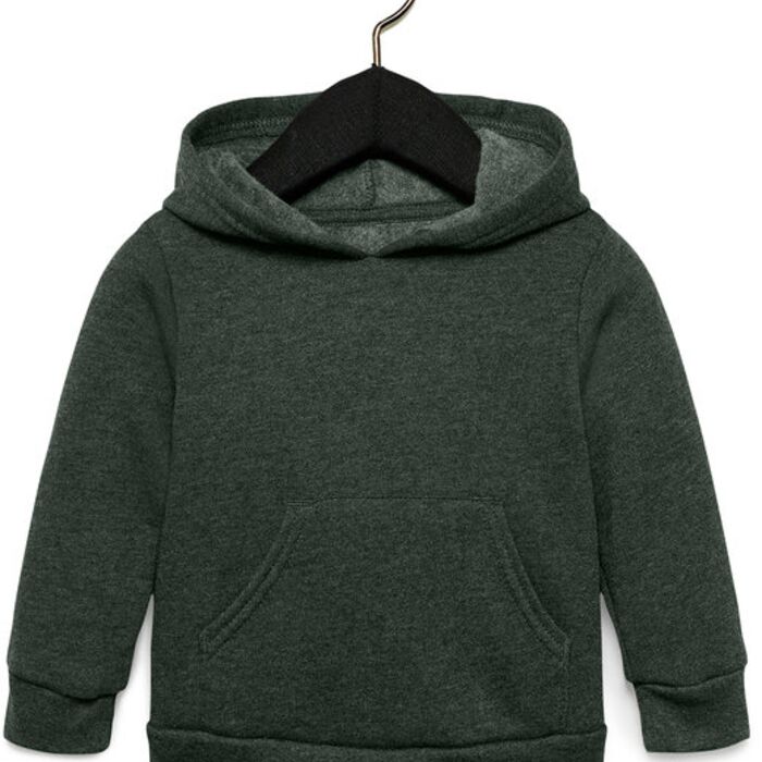 Toddler Sponge Fleece Pullover Hooded Sweatshirt Thumbnail