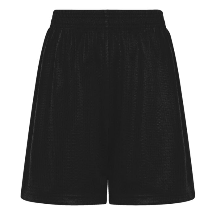 ATC™ PRO CLUB 5” MESH YOUTH SHORTS Thumbnail