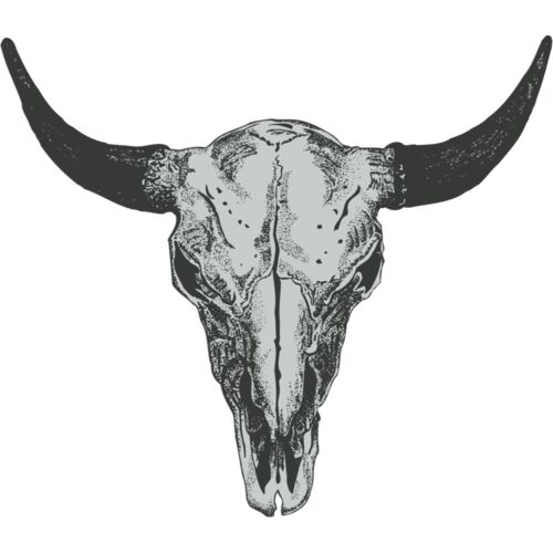 Skull 2   Bullskull Thumbnail