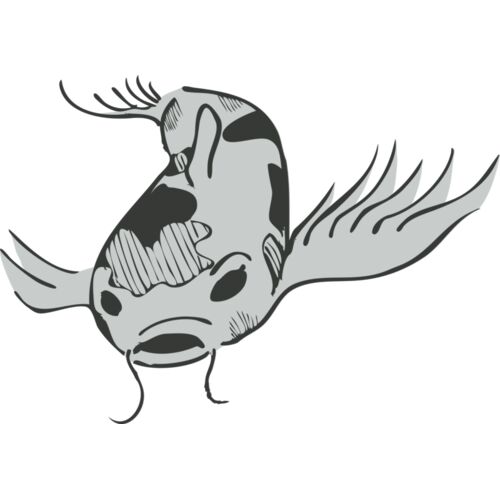 Koi Fish 2 Thumbnail