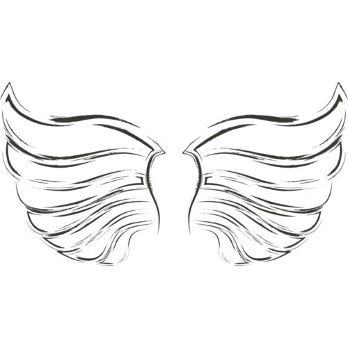 Charcoal Wing 46 Thumbnail