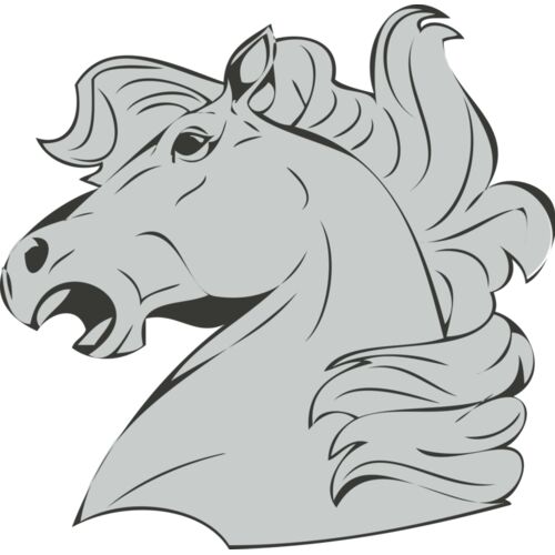 Animals   Horse Mustang Thumbnail