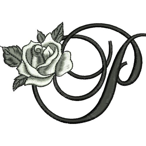 50408 var 4 Thumbnail