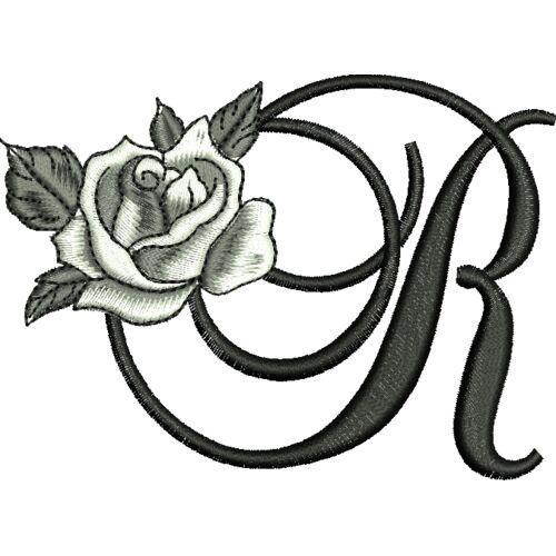 50410 var 4 Thumbnail