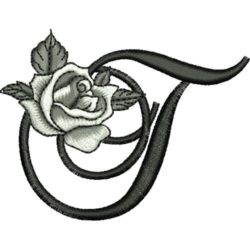 50412 var 3 Thumbnail