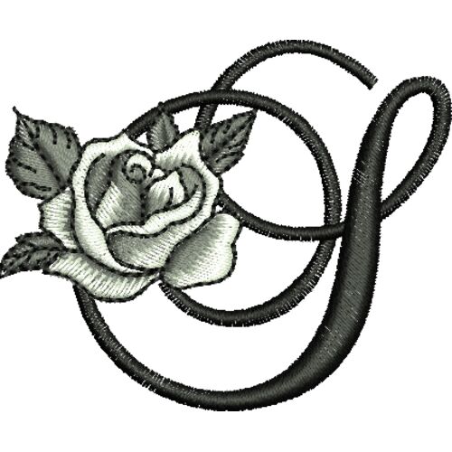 50411 var 2 Thumbnail