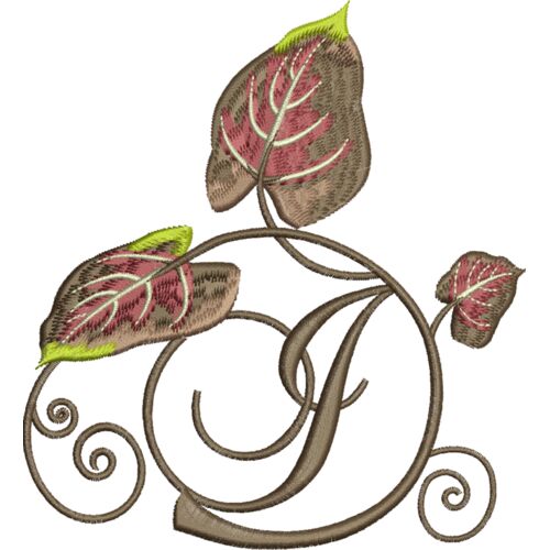 76807 var 2 Thumbnail