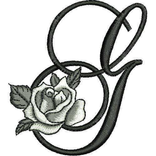 50399 var 3 Thumbnail