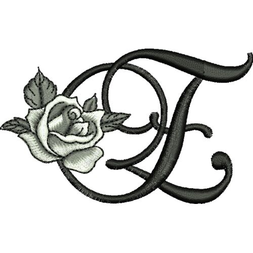 50397 var 3 Thumbnail