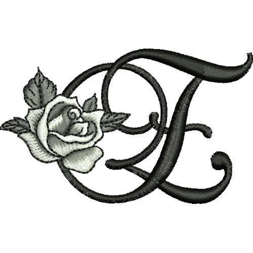 50397 var 2 Thumbnail