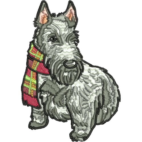 85847 var 2 Thumbnail