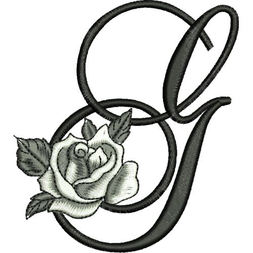 50399 var 4 Thumbnail