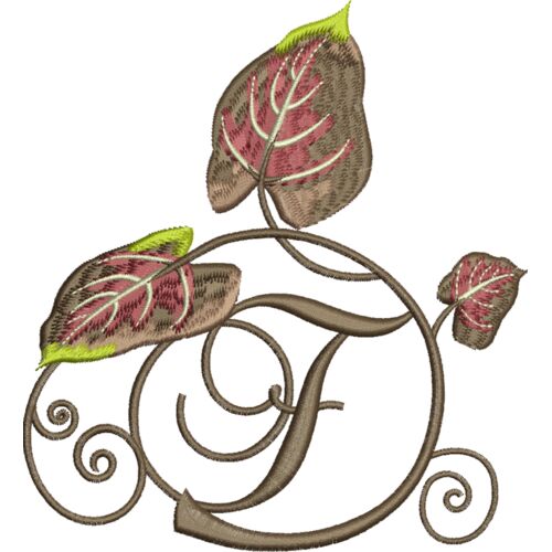 76804 var 2 Thumbnail