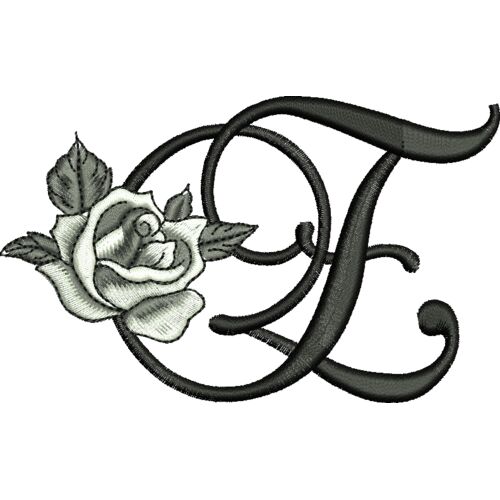 50397 var 4 Thumbnail