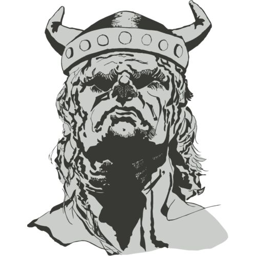 Vikings    Male 2 Thumbnail