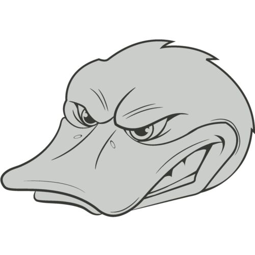 Duck Thumbnail