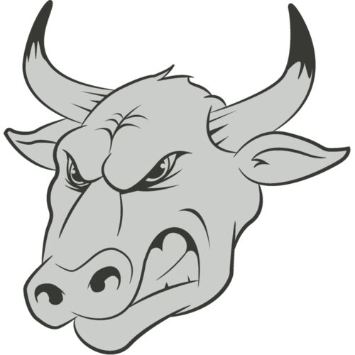 Bull Thumbnail