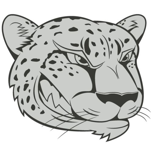 Cheetah 2 Thumbnail