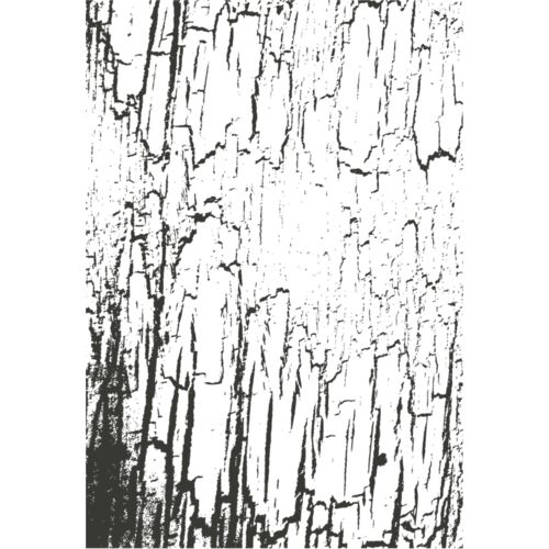 Texture Patterns Crackle 24 Thumbnail