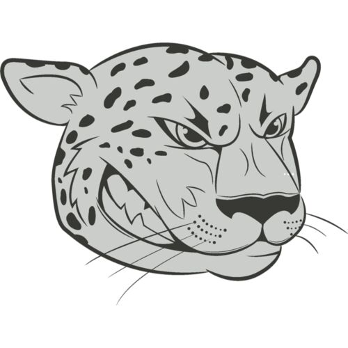 Jaguar Thumbnail