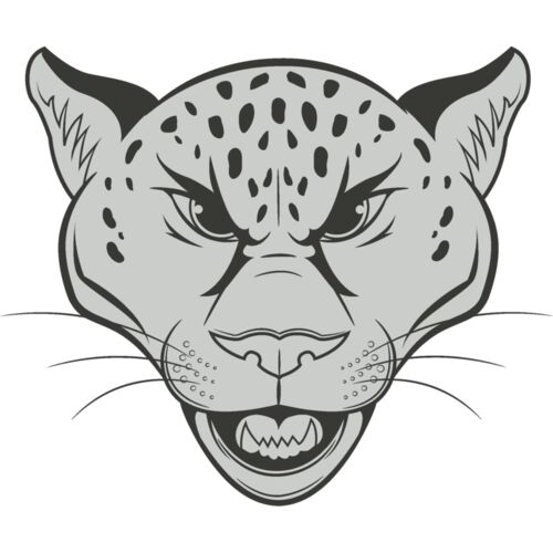 Jaguar 2 Thumbnail