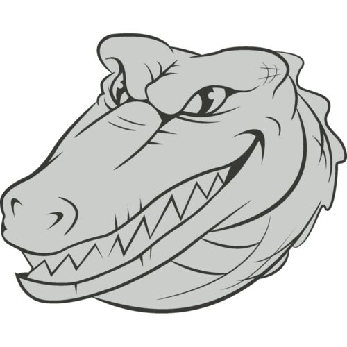 Gator Thumbnail
