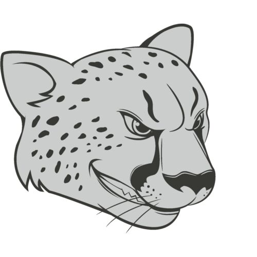 Cheetah Thumbnail