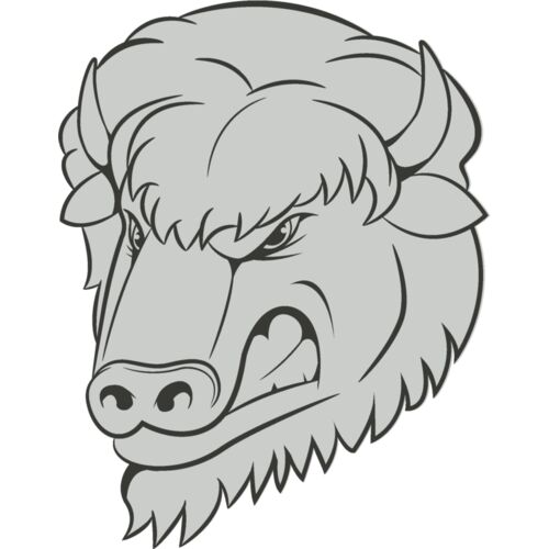 Buffalo 1 Thumbnail