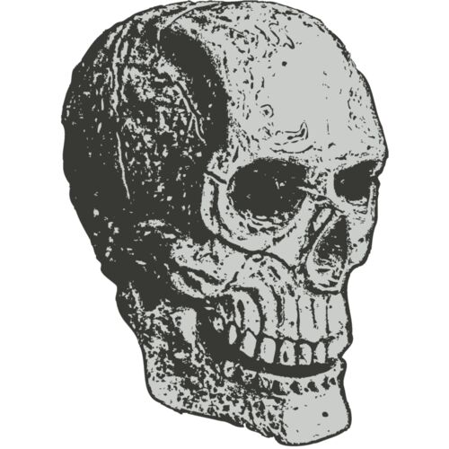 Skull 9 Thumbnail