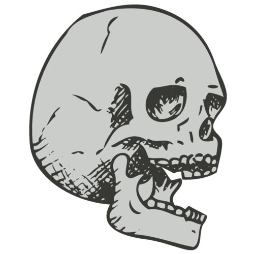 Skull 16 Thumbnail