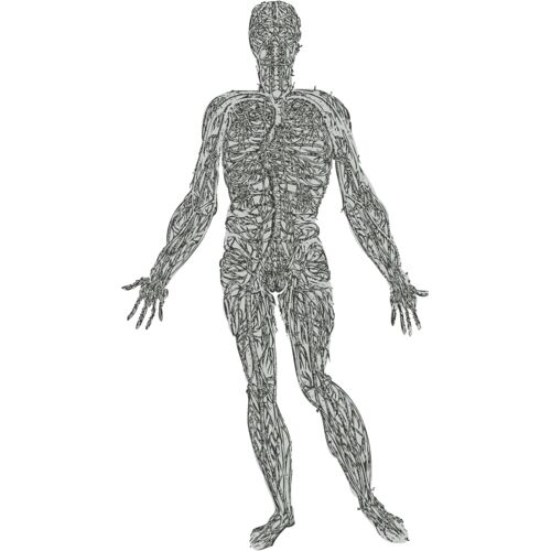 Medical Skull 15 Thumbnail