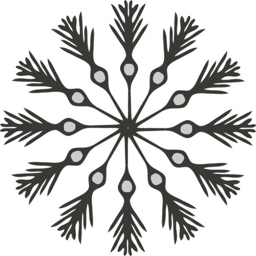 Snowflake ME 39 Thumbnail