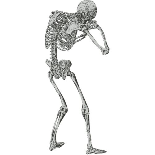 Medical Skull 9 Thumbnail