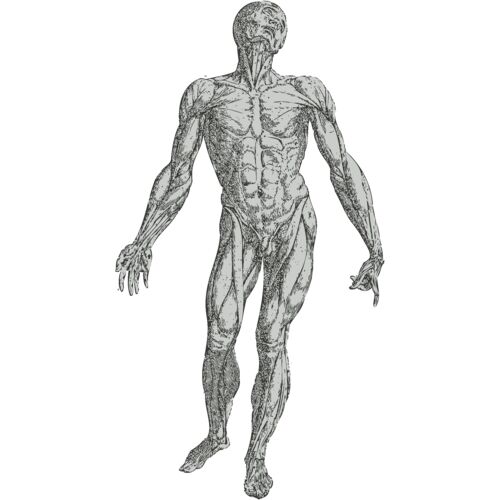 Medical Skull 17 Thumbnail