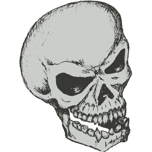 Stylized Skull 13 Thumbnail