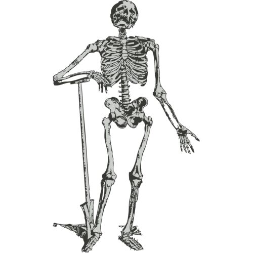 Medical Skull 18 Thumbnail