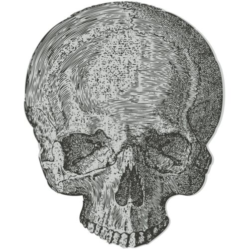 Medical Skull 2 Thumbnail