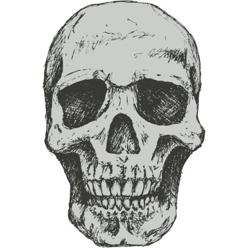 Stylized Skull 7 Thumbnail