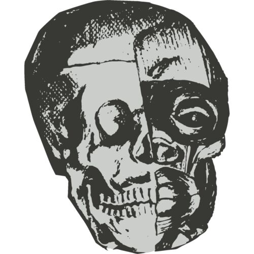 Skulls Hand Drawn 4 Thumbnail