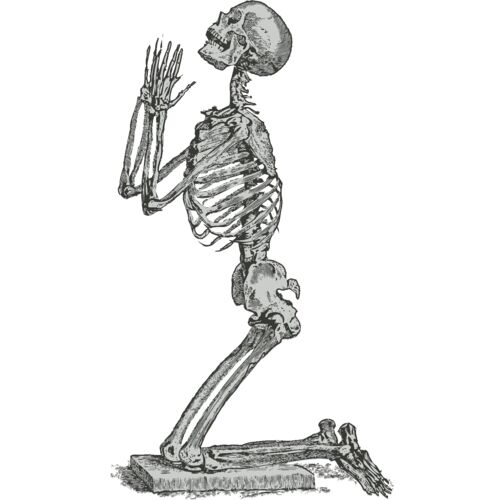 Medical Skull 19 Thumbnail