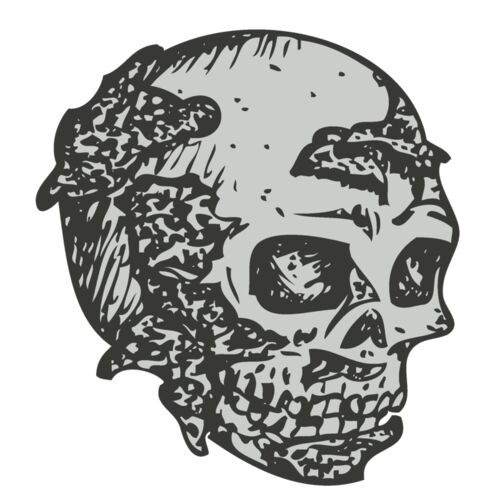 Skull 35 Thumbnail