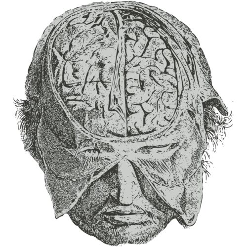 Medical Skull 12 Thumbnail