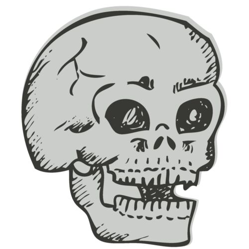 Skull 10 Thumbnail
