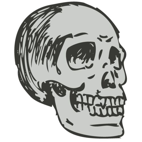 Skull 19 Thumbnail