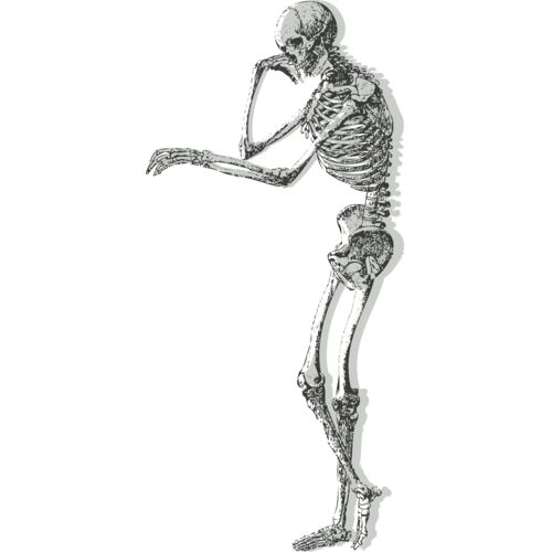 Medical Skull 10 Thumbnail