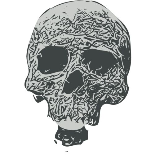 Skull 49 Thumbnail