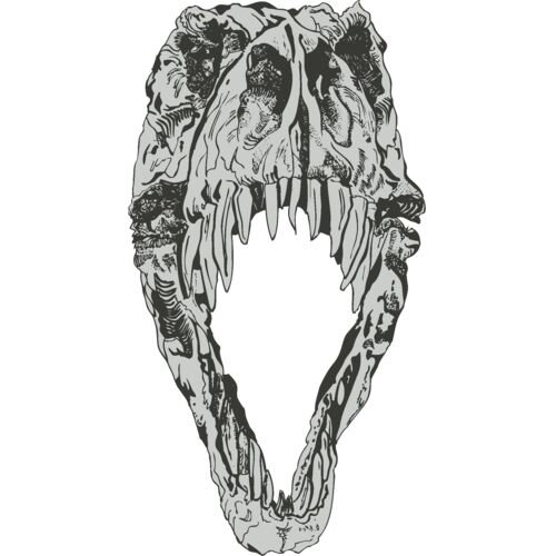 Hand Drawn Skull 16 Thumbnail