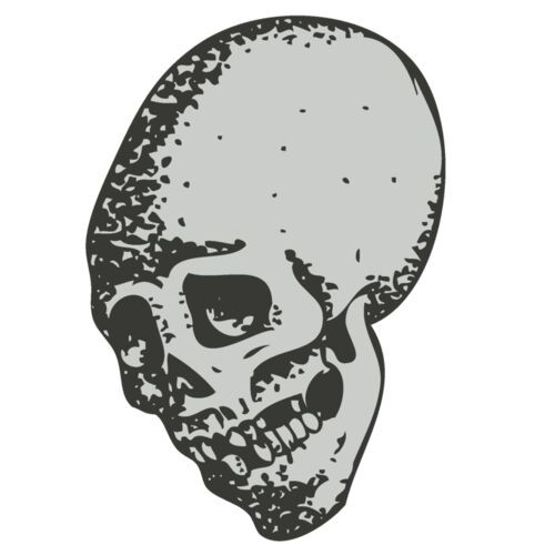 Skull 39 Thumbnail