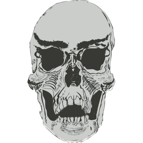 Hand Drawn Skull 11 Thumbnail