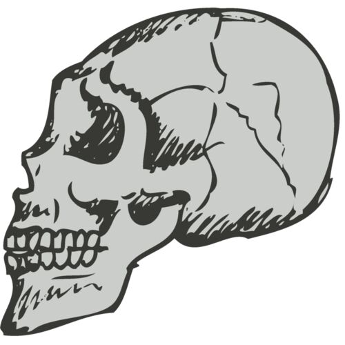 Skull 14 Thumbnail